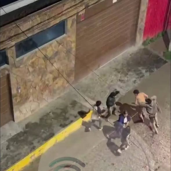 El Carnaval de la Barbarie 02